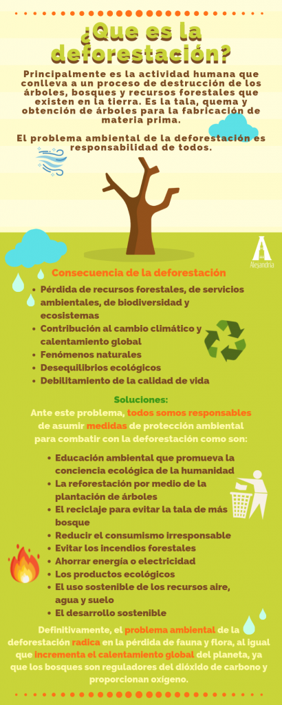 Infografía sobre la deforestación