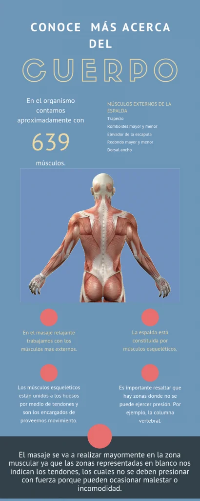 ANATOM A PARA MASAJES Curso COMPLETO de Masajes