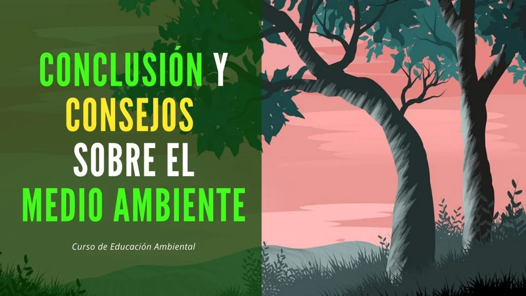 Conclusión y consejos para el cuidado del medio ambiente